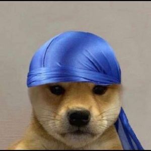 Meet your Posher, Adrian